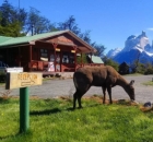 Sector Pehoé - Camping Pehoé - Torres del Paine